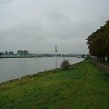 widoki