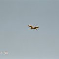Gates Learjet 55. #samolot