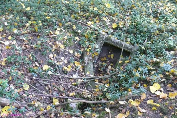 Zalesie - cmentarz wiejski #Zalesie
