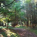 widoki