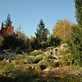 Barwy jesieni - ogrod botaniczny w Poznaniu
