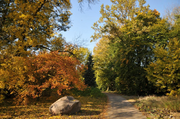 Barwy jesieni - ogrod botaniczny w Poznaniu