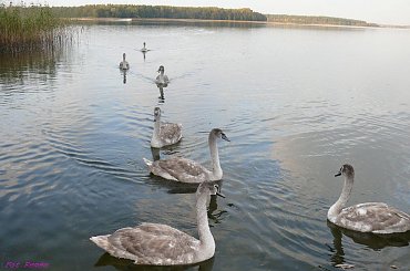 Jezioro Seksty - binduga Młyńska #Seksty #BindugaMłyńska