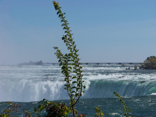 Wodospady Niagary #NiagaraFalls #WodospadyNiagary #Niagara #wodospady #Canada