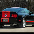 GT500 red stripe