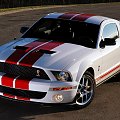GT500 red stripe