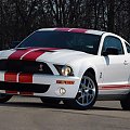 GT500 red stripe