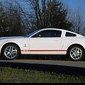 GT500 red stripe