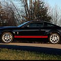 GT500 red stripe