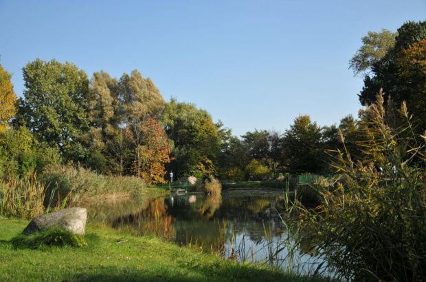 Barwy jesieni - ogród botaniczny w Poznaniu