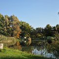 Barwy jesieni - ogród botaniczny w Poznaniu