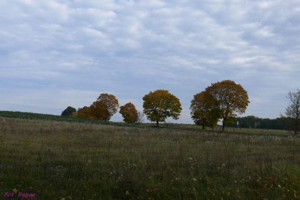 Gdzieś na Mazurach #Mazury