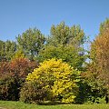 Barwy jesieni - ogród botaniczny w Poznaniu