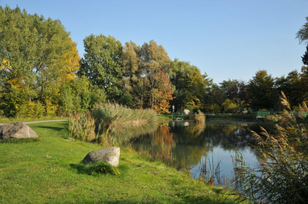 Barwy jesieni - ogród botaniczny w Poznaniu