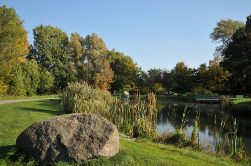 Barwy jesieni - ogród botaniczny w Poznaniu