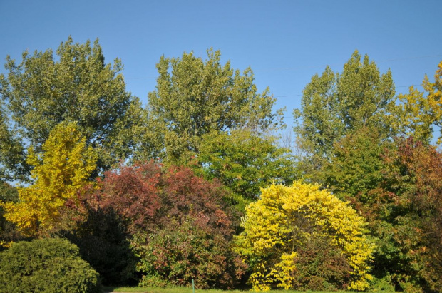 Barwy jesieni - ogród botaniczny w Poznaniu