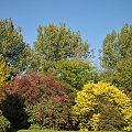 Barwy jesieni - ogród botaniczny w Poznaniu