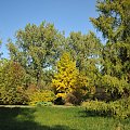 Barwy jesieni - ogród botaniczny w Poznaniu