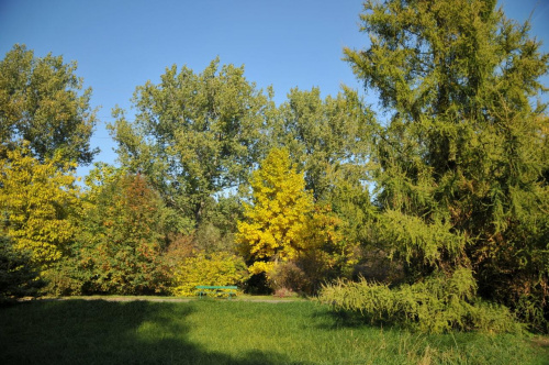 Barwy jesieni - ogród botaniczny w Poznaniu