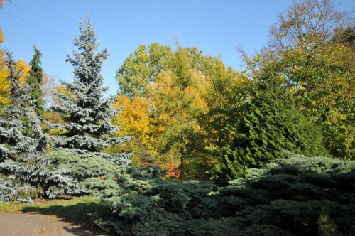 Barwy jesieni - ogród botaniczny w Poznaniu
