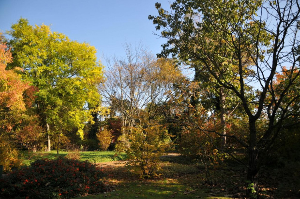 Barwy jesieni - ogród botaniczny w Poznaniu