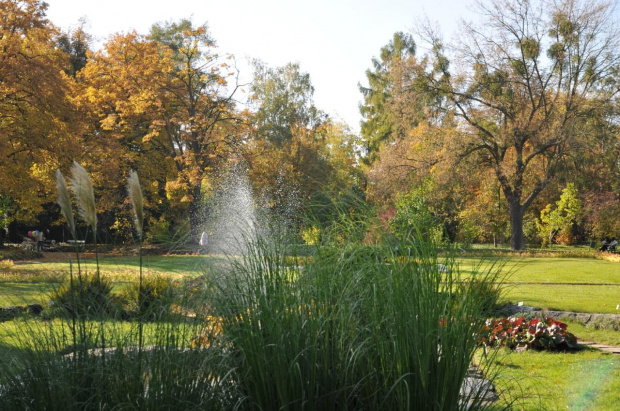 Barwy jesieni - ogród botaniczny w Poznaniu