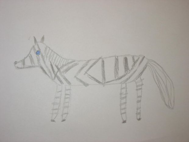 X 2008
Zebra