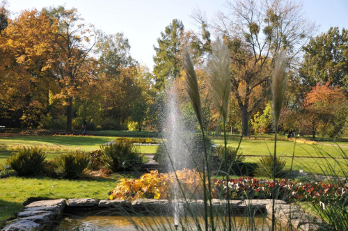 Barwy jesieni - ogród botaniczny w Poznaniu