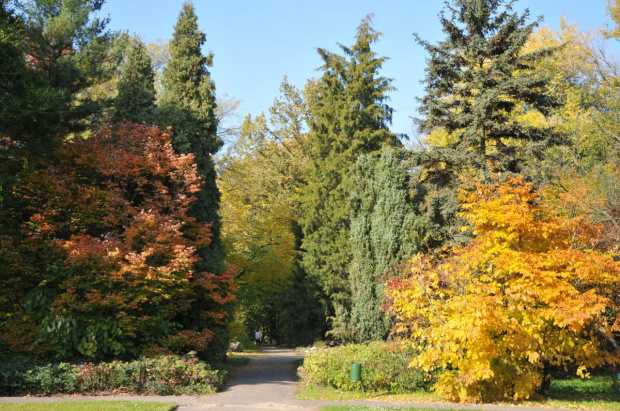 Barwy jesieni - ogród botaniczny w Poznaniu