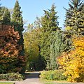 Barwy jesieni - ogród botaniczny w Poznaniu