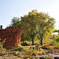 Barwy jesieni - ogród botaniczny w Poznaniu