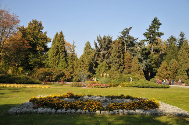 Barwy jesieni - ogród botaniczny w Poznaniu