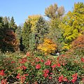 Barwy jesieni - ogród botaniczny w Poznaniu