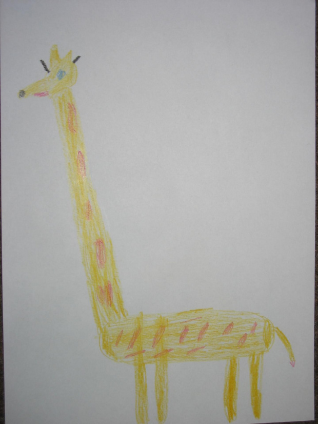 IX 2008
Żyrafa