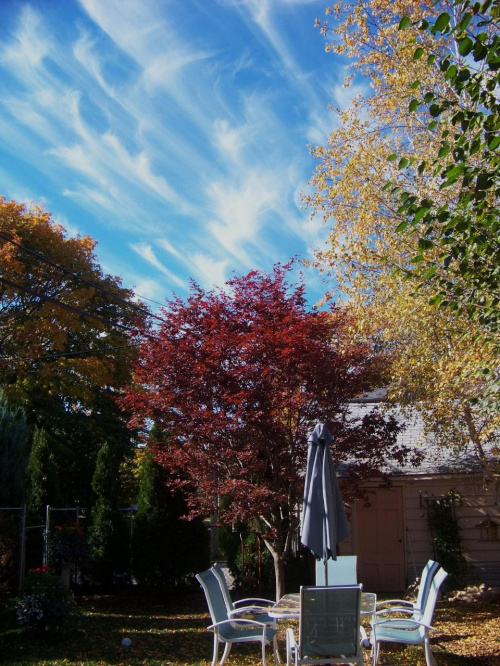 barwy jesieni #jesien #ogrod #chmurki