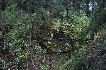 Myszki - cmentarz wiejski #Myszki