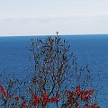 jezioro Ontario jesienia #jesien #JezioroOntario #jezioro #Toronto