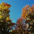 jesien w Toronto #jesien #Toronto #Canada #Kanada