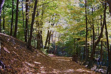 jesien w Toronto #jesien #Toronto #Canada #Kanada