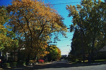 jesien w Toronto #jesien #Toronto #Canada #Kanada