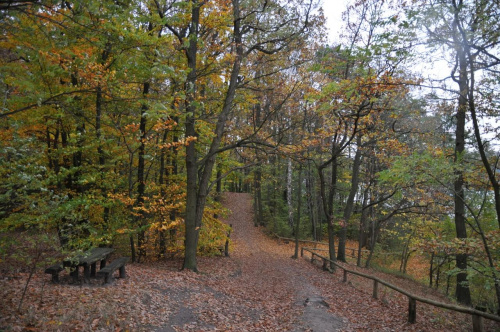 Brązowy październik