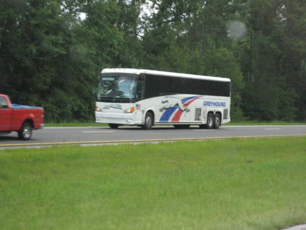 MCI greyhound