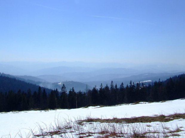 widok z Hali Radziechowskiej