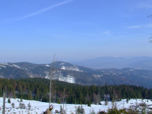 widok ze szlaku na Barania Gore.. te dwa osniezone szczyty w tle to: z lewej Babia Gora, z prawej Pilsko