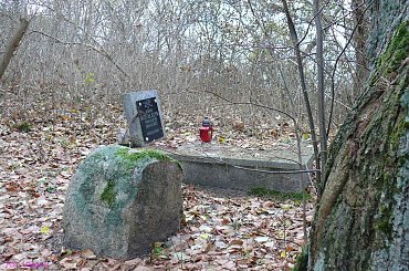 Ogródek - cmentarz wiejski #Ogródek