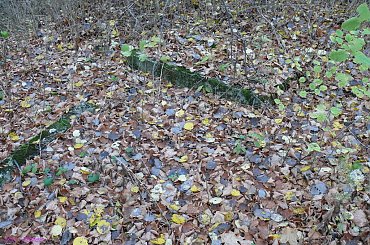 Ogródek - cmentarz wiejski #Ogródek