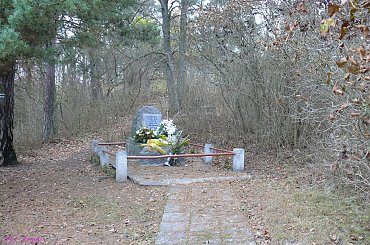 Ogródek - cmentarz wiejski #Ogródek