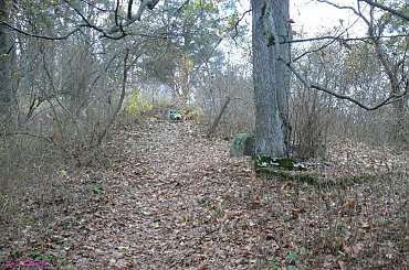 Ogródek - cmentarz wiejski #Ogródek