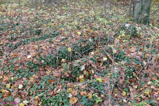 Orzysz - nieczynny cmentarz miejski #Orzysz