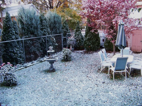 pierwszy snieg
- 29 pazdziernika 2008 #zima #jesien #snieg